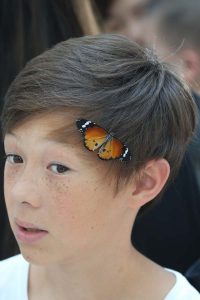 ©Matthias-Bunzel-Bildender-Drache-Chinareisen-buchen-Hutong-Harbin-Hainan-Hongkong-IMG_0201