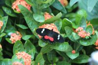 ©Matthias-Bunzel-Bildender-Drache-Chinareisen-buchen-Hutong-Harbin-Hainan-Hongkong-IMG_0227