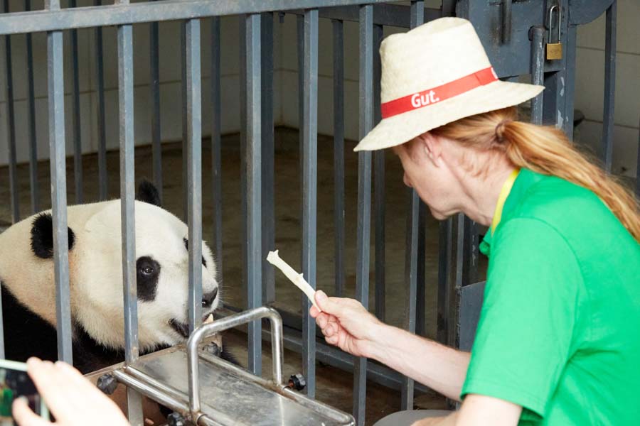 ©Matthias-Bunzel-Bildender-Drache-Chinareisen-buchen-Peking-Xian-Panda-Kanton-201907 China MABL2862